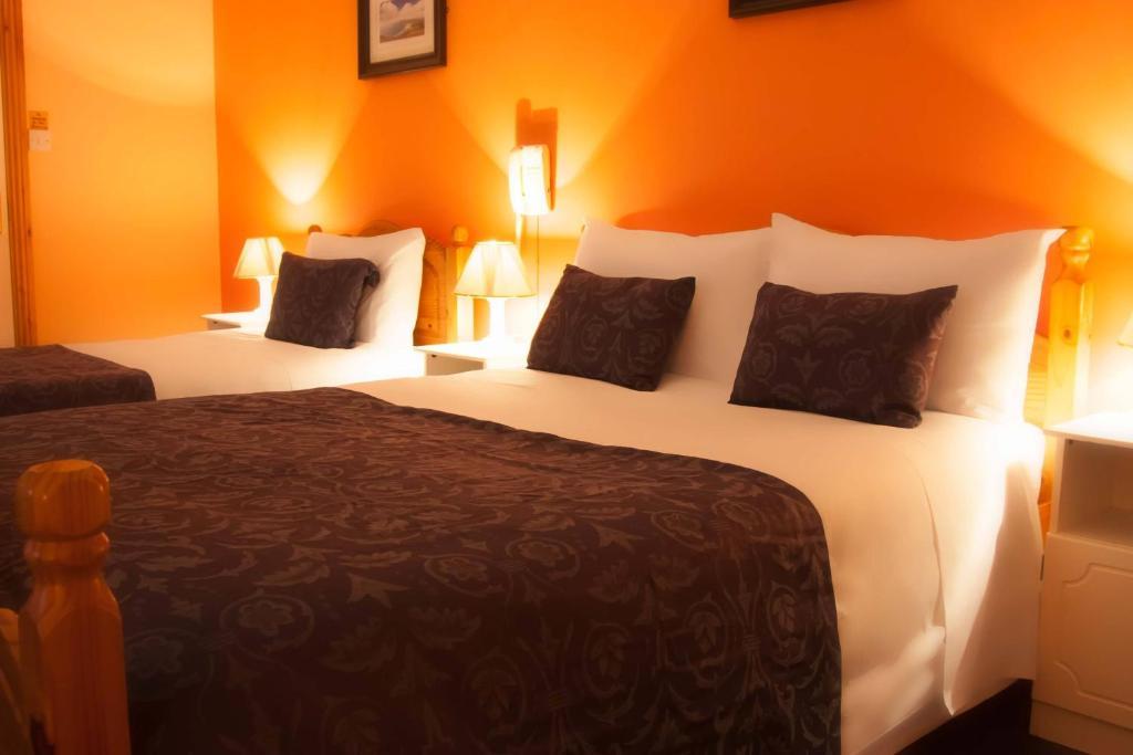 Mccarthy'S Lodge B&B Westport Dış mekan fotoğraf